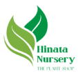 hinatanursery.in