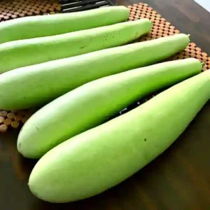 Long Bottle Gourd Seeds(Lauki)-20 seeds