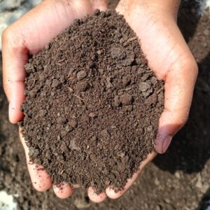 Vermicompost Organic Fertilizer(5kg)