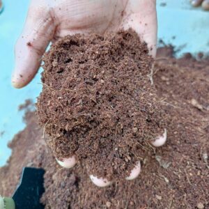 Organic Loose Cocopeat(2kg)