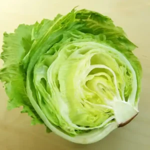 Lettuce Iceberg F1 Hybrid Seeds- 50seeds