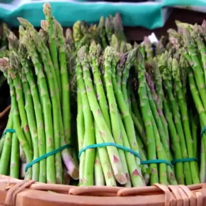 Asparagus Seeds- 25seeds