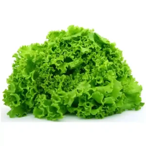 Lettuce Angelina F1 Hybrid Seeds- 40seeds