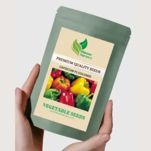 Capsicum Colored F1 Seeds - 20 Seeds
